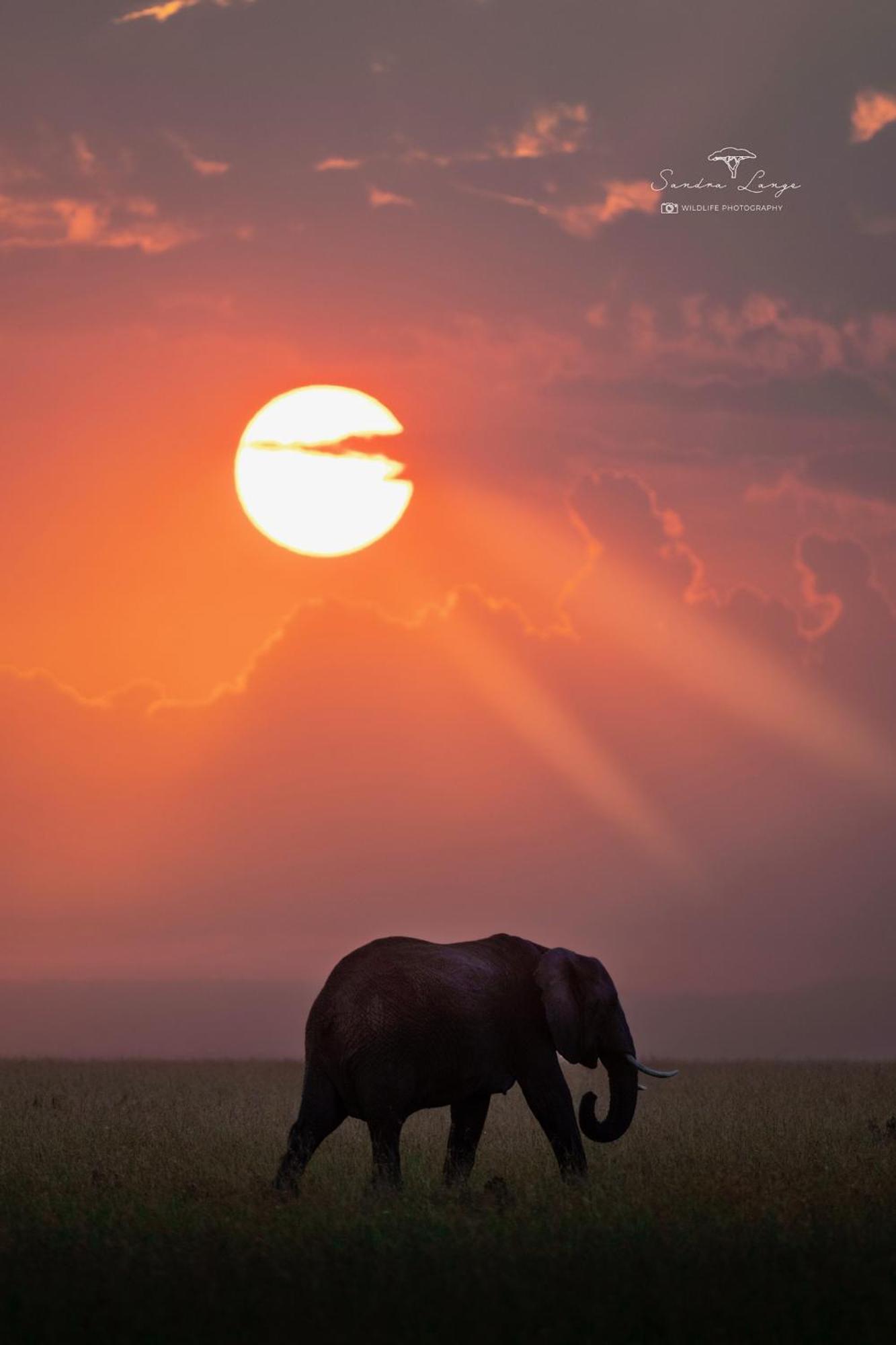 Olkinyei Mara Tented Camp Talek Exterior foto